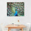 Quadro em tela com pavão, 50,8 x 40,6 cm (20 x 16 polegadas) 2