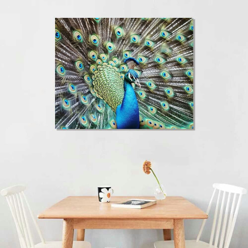Quadro em tela com pavão, 50,8 x 40,6 cm (20 x 16 polegadas) 1