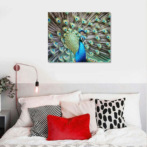 Quadro em tela com pavão, 50,8 x 40,6 cm (20 x 16 polegadas) 2