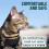 Escape Proof Cat Harness and Leash Set 1 Pack 8