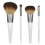 EcoTools EcoTools, On The Go Style Kit, 4 Stykke Kit 1