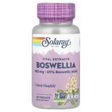 Solaray, Vital-Extrakte, Boswellia, 450 mg, 60 VegCaps