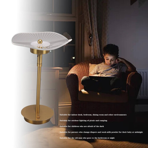 Stepless Dimmable Touch Table Lamp with 700mAh USB Rechargeable Night Light in Copper 2