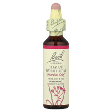 Bach, Pôvodné Kvapkové Léčivky, Hvězda Betlehemu, 0.7 fl oz (20 ml)