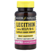 Mason Natural, Lecithin with Kelp/B6 Plus Apple Cider Vinegar, 100 Softgels