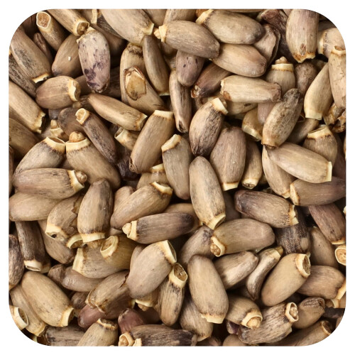 Sămânță de Mărar Organică de Frontier Co-op, 16 oz (453 g)