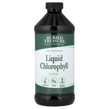 Buried Treasure, Clorofilă Lichidă, Spearmint, 16.54 fl oz (496 ml)