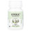 Maxi Health, Kyolic, Aged Garlic Extract, 90 Tablets 1
