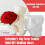 Silikon-Kerzenform „Rosenbär“ – DIY-Valentinstagsgeschenk 3