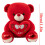 Teddy Bear Plush Doll 11.8 Inch with Heart 2
