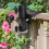 Support de parasol robuste Rollbacks & More, fixation pour banc, chaise, bureau, jardin ou cour. 5
