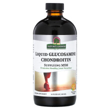 Nature's Answer, Kapalná Glukosamin Chondroitin, Pomeranč, 16 fl oz (480 ml)