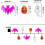Halloween String Lights 9.8ft 20 LED 3D Pumpkin Bat Ghost 3