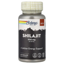 Solaray, Männer-Shilajit, 60 VegCaps (250 mg pro Kapsel)
