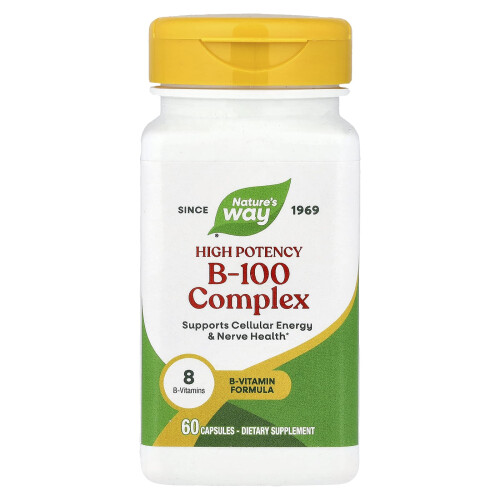 Nature's Way, B-100 komplex, 60 kapslí