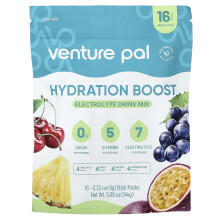 Venture Pal, Hydratation Boost, Elektrolyt-Trinkmischung, Vielfaltspack, 16 Stiftpackungen, 0,32 oz (9 g) Jeder