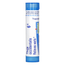 Boiron, Thuja Occidentalis 6C, 80 Pellets