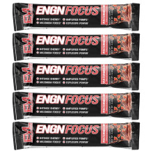 EVLution Nutrition, ENGN Focus, Wassermelone, 5 Packungen, 0.32 oz (9 g) Jeder