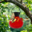 AuroraX Glass Hummingbird Feeder Squirrel-Proof Waterproof 8