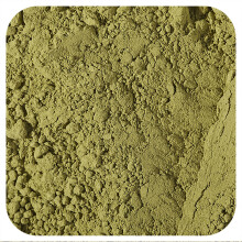Starwest Botanicals, Biologische Matcha Theepoeder, 1 lb (453.6 g)