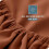Queen Sheet Set – Hydro-Brushed Soft Cotton, 4-Piece 5