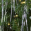 Tinsel Icicles Metallic Silver 2000 Strands 18 inch 6