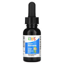California Gold Nutrition, Echinacea Liquida per Bambini, Senza Alcol, Arancia Naturale, 1 fl oz (30 ml)