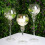 BalsaCircle Set med 3 ljusstakar i klart glas, glaskulor, bröllopsvaser 2