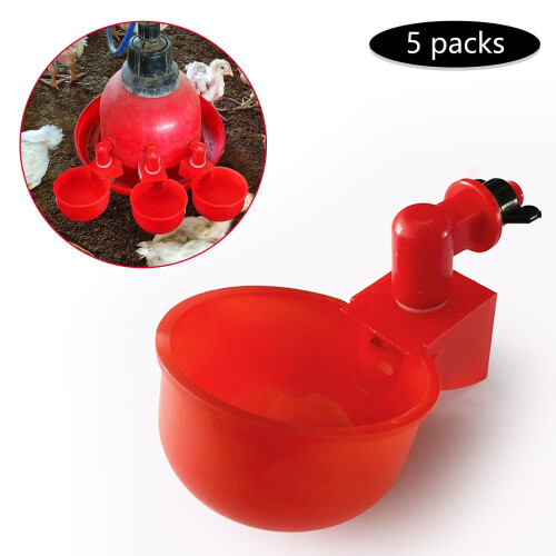 Poultry Chicken Automatic 5Pcs/Lot Automatic Chicken Water Cups for Chicken 2