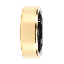 Bague intelligente argentée Taille 13 22,4 mm 15 mAh + 200 mAh