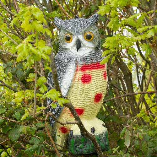 Pisces Multi Pack Pond Decoy  - Heron and Owl 1