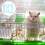 Plastrørsett til hamsterbur, labyrintkobling, utvendig rør til hamsterburtilbehør 4