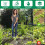 Garden Hoe Tool  Stirrup Loop Weeding Tool Triangle  Weeding Hoe with Long Handle Ergonomic for Garden 1.2m 4