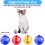 LED Motion-Activated Cat Ball Interactive Toy 1 Pack 2