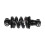 Scooter Rear  for  G2 Max Kickscooter  Spare Parts Accessories 7