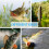 Köder, Süßwasserköder, Barschköder, Flachwasser-Crankbait-Köder, Barschköder, Crappie-Köder, Qisuo-Köder, Köderset, Salzwasserköder, 5