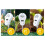 Soil Test Kit - Moisture, PH, Fertility, Sunlight, Temp & Humidity Meter with LCD Display 3-Pack 9