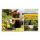 Soil Test Kit - Moisture, PH, Fertility, Sunlight, Temp & Humidity Meter with LCD Display 3-Pack 10