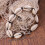 Gift Bracelet Beaded Shell Bracelets Seashell Charms 's 8