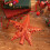 Christmas Tree Topper Star, Small Gold Red Sequins Design, Five-Pointed Tree Top Accessory Decor 6
