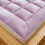 Fiber Mattress for Students Soft Thickened Padded 8