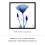 Blue Romance Canvas Wall Art Set – 4 Panels, 30x30cm 5