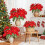 Χρυσά τεχνητά λουλούδια Poinsettia κόκκινα με κλιπς και μίσχους 6