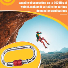 2 Mosquetões de Escalada Reforçados, com Capacidade de 25kN, Trava de Rosca, Formato Oval, Ideais para Rapel e Redes