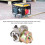 Champion 4000W Generator Carburetor Parts 17