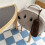 Cute Puppy Quilt & Storage Bag - Multi-Use Organizer with Handle, Perfect for Moms. Polyester. C 4
