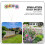 Μεταλλικοί πάσσαλοι λουλουδιών OUNONA, συσκευασία 4 σε διάφορα χρώματα 2