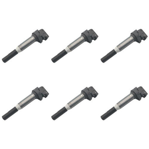 6Pc Ignition Coil For- Models with  Version Coil Part Number 12138616153 12137594596