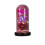 Luminária cilíndrica de vidro LED com decoração de coração e rosa 2