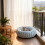 Cat Bed Round Washable Donut with Anti-Slip Bottom 5
